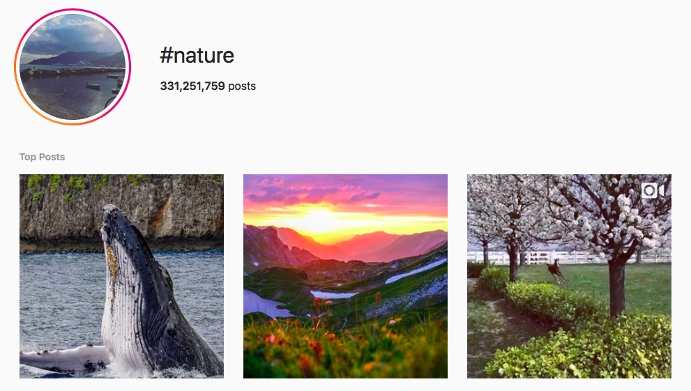 hashtags amoureux de la nature