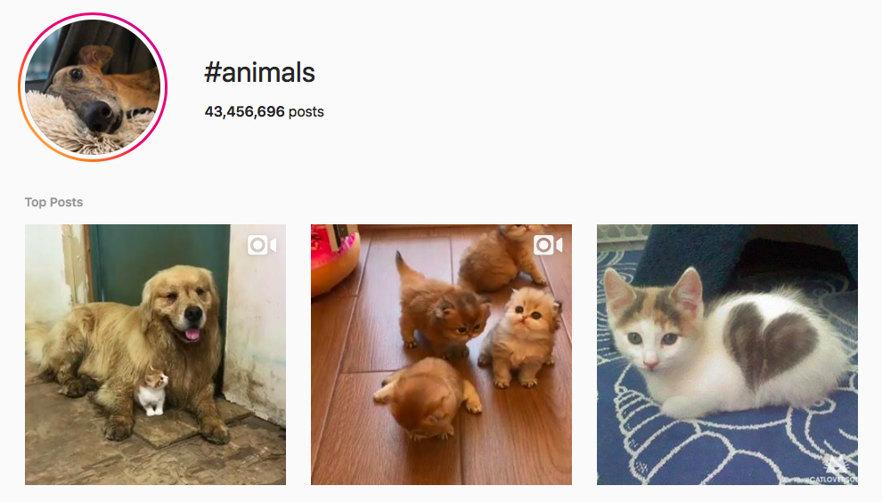 hashtags amoureux de la nature