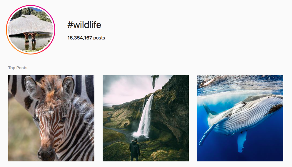 hashtags amoureux de la nature